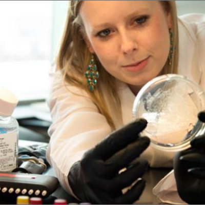 natalie_wolf_research